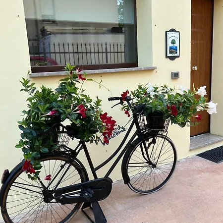 Assisi, La Noce *